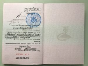 Диплом — Баратова Ирина Георгиевна