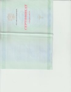 Диплом — Рогожина Оксана Юрьевна